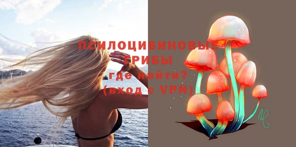 бошки Михайловск