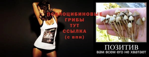 твердый Михайловка
