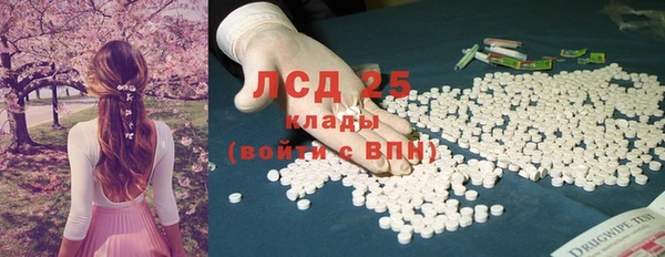 СК Михайлов