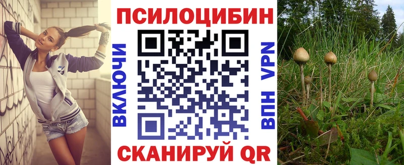 Псилоцибиновые грибы GOLDEN TEACHER Железноводск