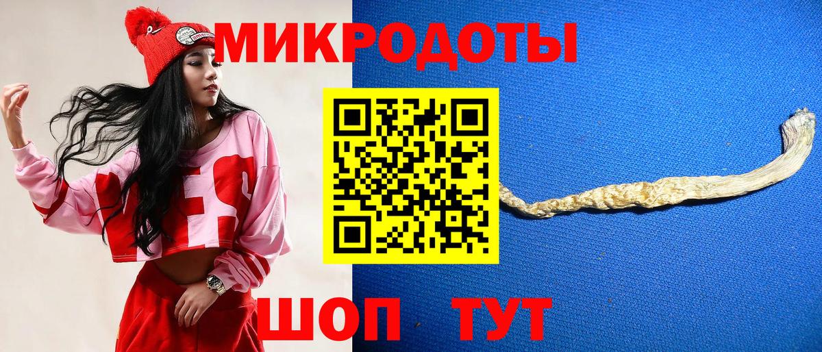 Галлюциногенные грибы Psilocybe Железноводск
