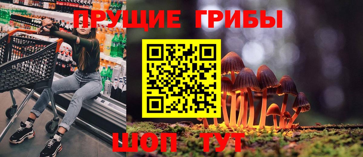 Железноводск  Галлюциногенные грибы мухоморы  Вход с VPN  Псилоцибиновые грибы Cubensis 