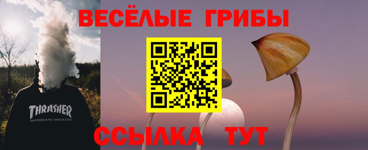 наркошоп  Железноводск  Псилоцибиновые грибы GOLDEN TEACHER 